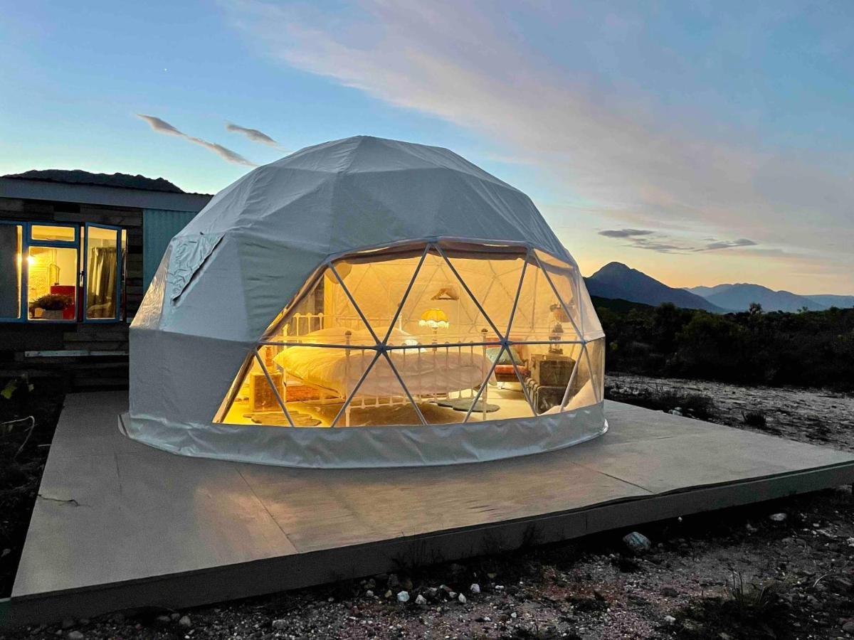Starry Starry Night - Route 62 Villa Montagu Exteriör bild