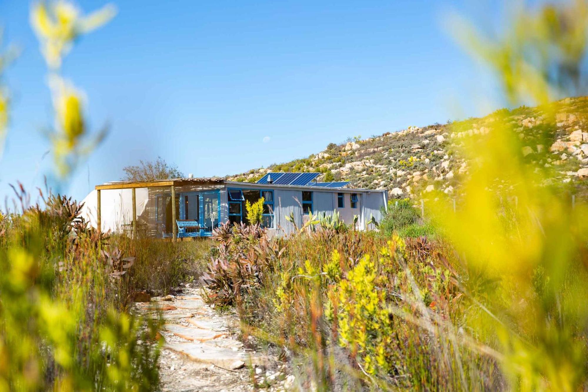 Starry Starry Night - Route 62 Villa Montagu Exteriör bild